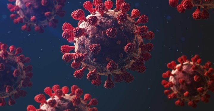 За минувшую неделю в Рязанском регионе коронавирусом заразились 229 человек