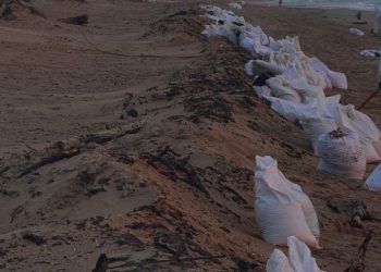 Рязанский волонтёр Горбачев рассказал о ситуации на пляжах Анапы после разлива мазута