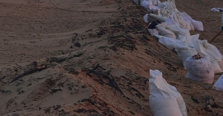 Рязанский волонтёр Горбачев рассказал о ситуации на пляжах Анапы после разлива мазута