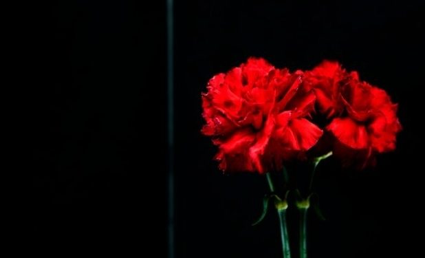 В зоне СВО погиб оператор беспилотников из рязанского Ряжска Борадковский