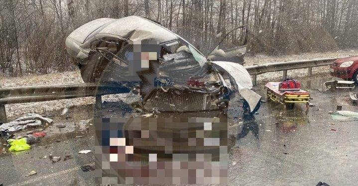 Полицейские опубликовали снимки с места смертельного в Путятинском районе