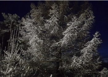 Фото: рязанский Новомичуринск накрыло снегом Фото: рязанский Новомичуринск накрыло снегом