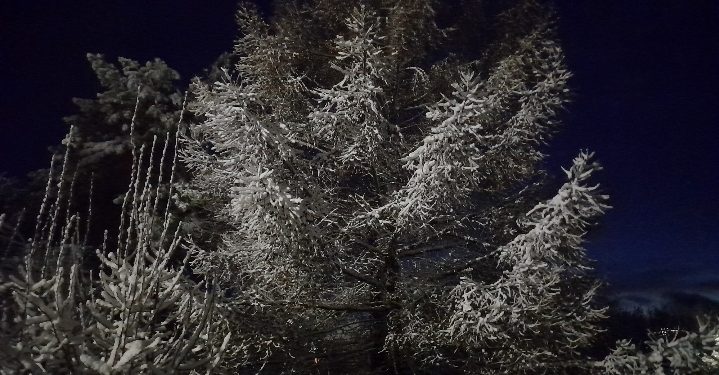 Фото: рязанский Новомичуринск накрыло снегом