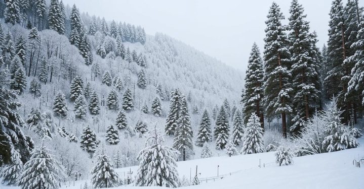 Синоптик Тишковец: Рязанская область оказалась в мешке радиационного холода