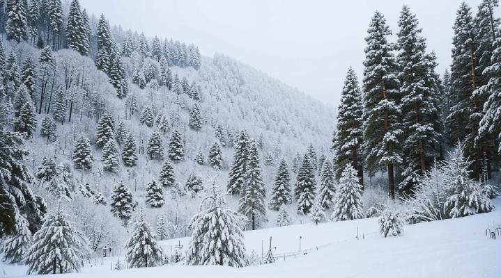 Синоптик Тишковец: Рязанская область оказалась в мешке радиационного холода
