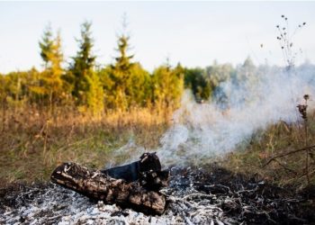 В двух городах и 13 районах Рязанского региона ввели особый противопожарный режим