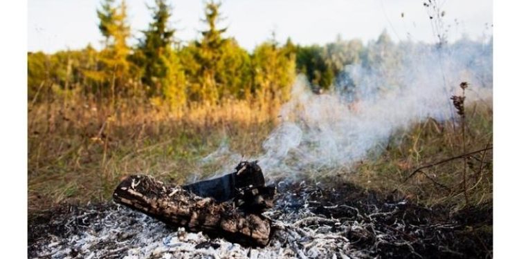 В двух городах и 13 районах Рязанского региона ввели особый противопожарный режим