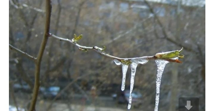 Рязанцев предупредили о ночных заморозках с 26 по 28 апреля