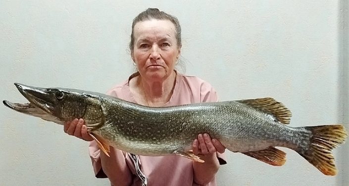 В рязанском Сасове рыбачка выловила из реки 8-килограммовую щуку