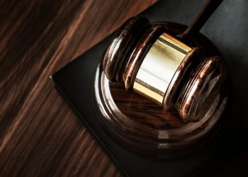 Суд оставил экс-главреда рязанского  портала Смольянинову под домашним арестом