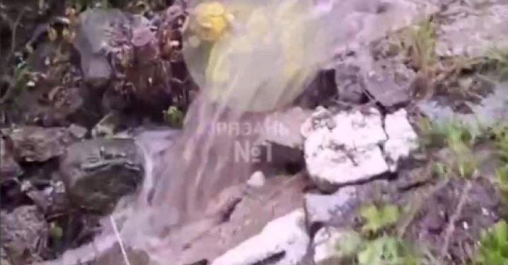 Рязанцы сообщили о сливе канализации в местный пруд