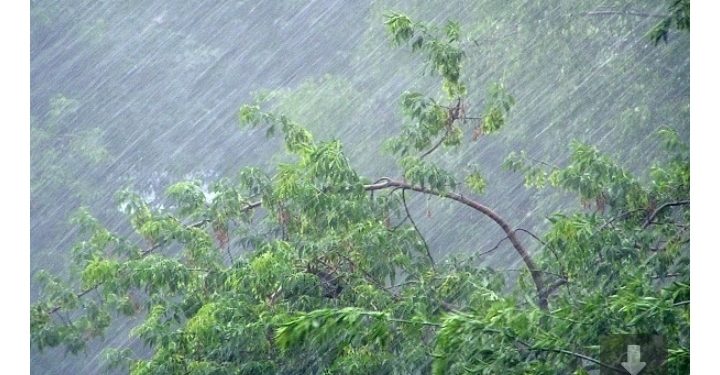 Рязанцев предупредили о резком ухудшении погоды