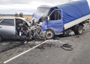 В ДТП в Рязанской области погибли два человека В ДТП в Рязанской области погибли два человека