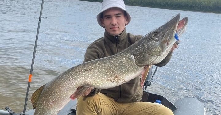 В рязанском Касимове рыбак поймал огромную щуку