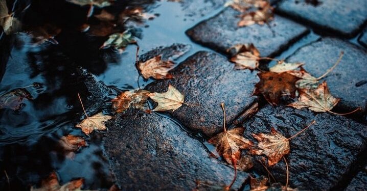 В понедельник в Рязанской области ожидается до +13 градусов