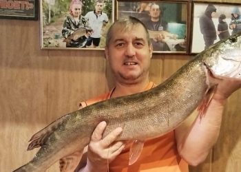 В Путятинском округе рыбак выловил из реки щуку весом 5,5 килограмма