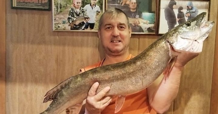 В Путятинском округе рыбак выловил из реки щуку весом 5,5 килограмма