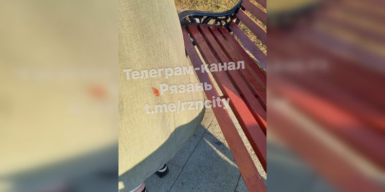 Рязанцы пожаловались на покраску скамеек на Лыбедском бульваре ко Дню города