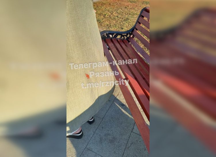 Рязанцы пожаловались на покраску скамеек на Лыбедском бульваре ко Дню города