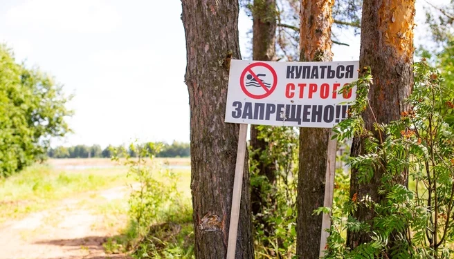 Семь трупов стали итогом купального сезона в Рязанской области