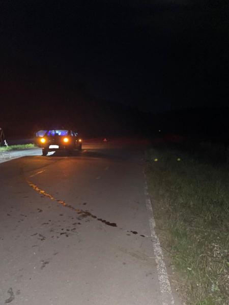 По вине пьяного водителя в Старожиловском районе в ДТП погиб 66-летний пассажир