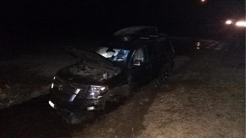 В ДТП в Скопинском районе погибла 53-летняя пассажирка ВАЗ