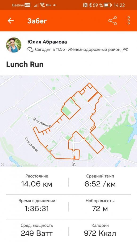 Рязанка Абрамова преодолела 14 км с GPS-трекером и изобразила на карте города собаку