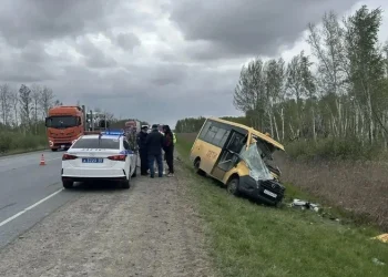 Школьный автобус разбился на омской трассе