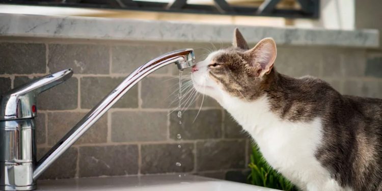 Пять рязанских улиц 21 февраля лишились отопления и горячей воды