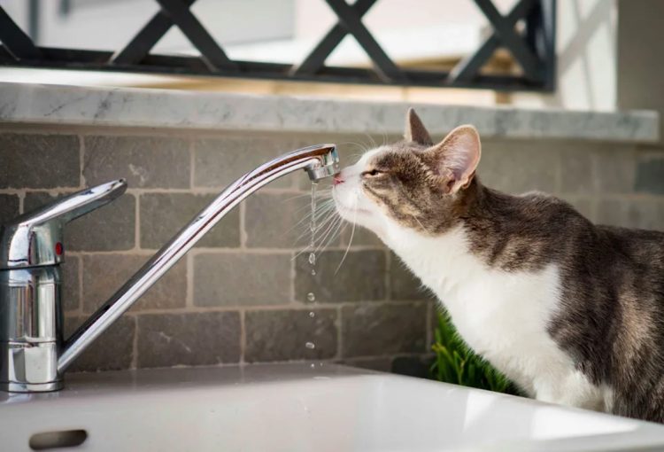 Пять рязанских улиц 21 февраля лишились отопления и горячей воды