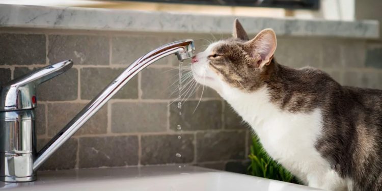 На улице Островского 5 сентября отключат холодную воду