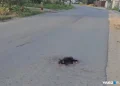 Водители сделали тихий район Рязани транзитным адом