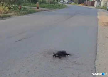 Водители сделали тихий район Рязани транзитным адом