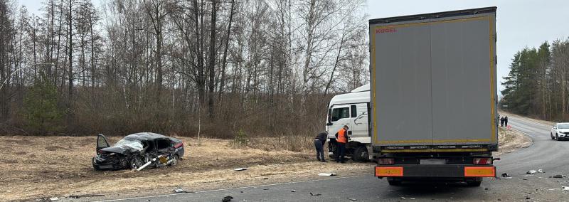 В ДТП в Клепиковском районе пострадал 38-летний водитель