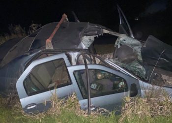 Под Рязанью легковушка врезалась в корову, водитель погиб
