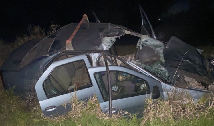 Под Рязанью легковушка врезалась в корову, водитель погиб