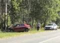 Смертельное ДТП под Рязанью: водитель Reno влетел в дерево — подробности