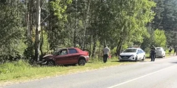 Смертельное ДТП под Рязанью: водитель Reno влетел в дерево — подробности