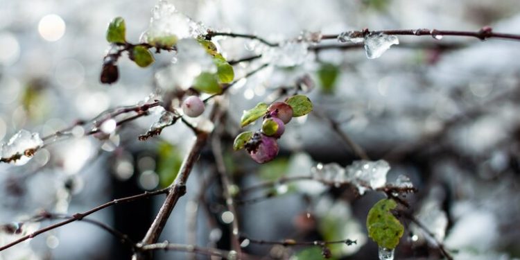 Россиян предупредили о ливнях и мокром снеге 7 мая