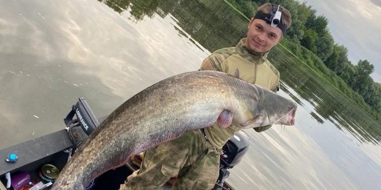 В рязанском Сасове рыбак выловил 22-килограммового сома