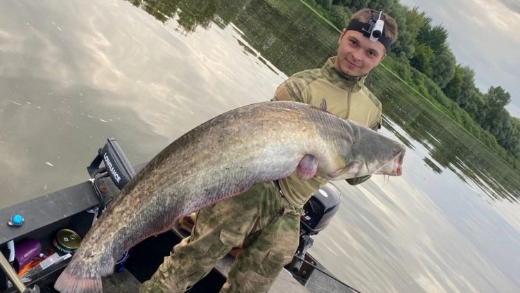 В рязанском Сасове рыбак выловил 22-килограммового сома