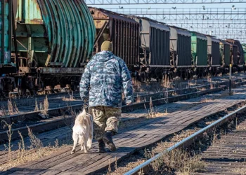 Россия закрыла пункты пропуска для трёх стран Прибалтики Россия закрыла пункты пропуска для трёх стран Прибалтики