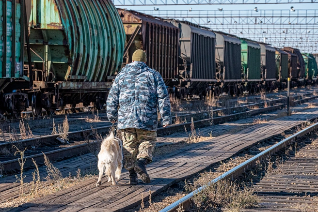 Россия закрыла пункты пропуска для трёх стран Прибалтики