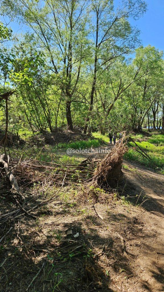 Жители рязанской Солотчи пожаловались на состояние пляжа у Лысой горы