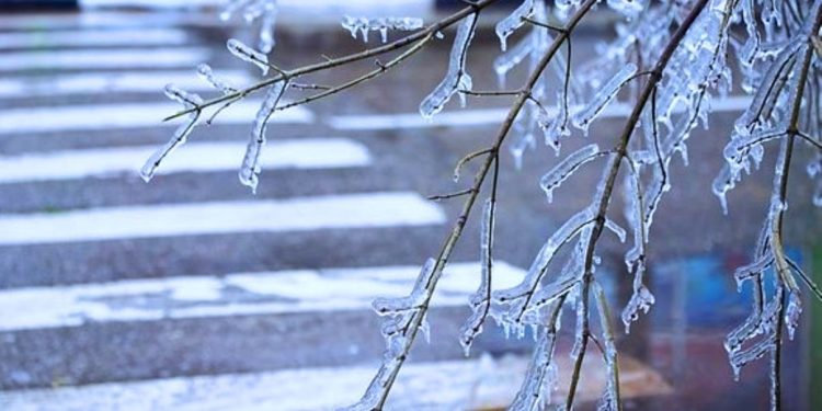 Рязанцев предупредили о ледяном дожде и гололедице 27 ноября