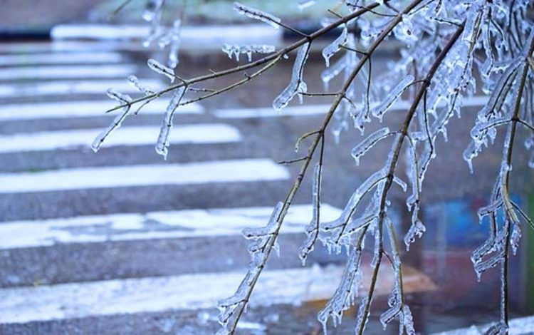 Рязанцев предупредили о ледяном дожде и гололедице 27 ноября