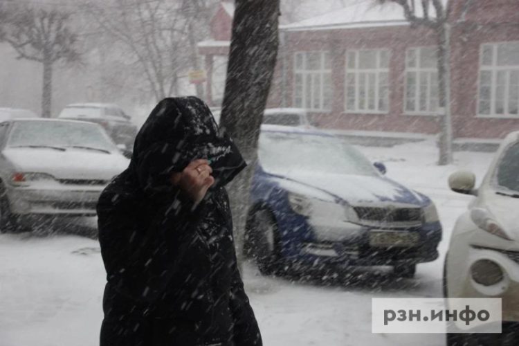 Снегопады ожидаются в нескольких округах Рязанской области