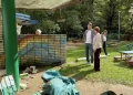 Стена детсада в Калужской области обрушилась на малышей