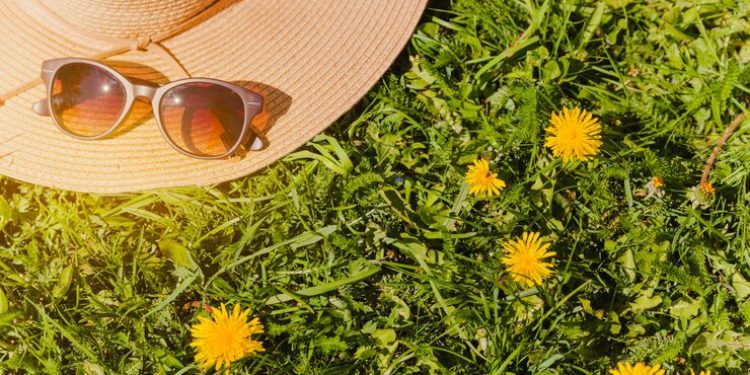 Тишковец: метеорологическое лето в Центральной России настанет в выходные