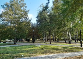 В пятницу в Рязанской области ожидается до +16 градусов